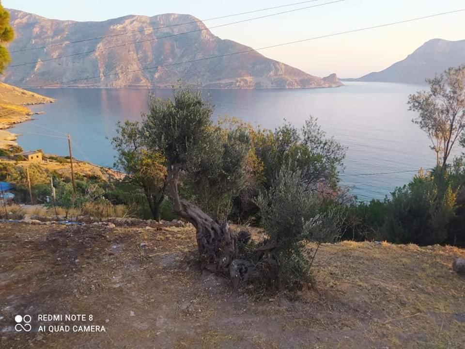 The Traditional House-Skalia,Kalymnos Buitenkant foto