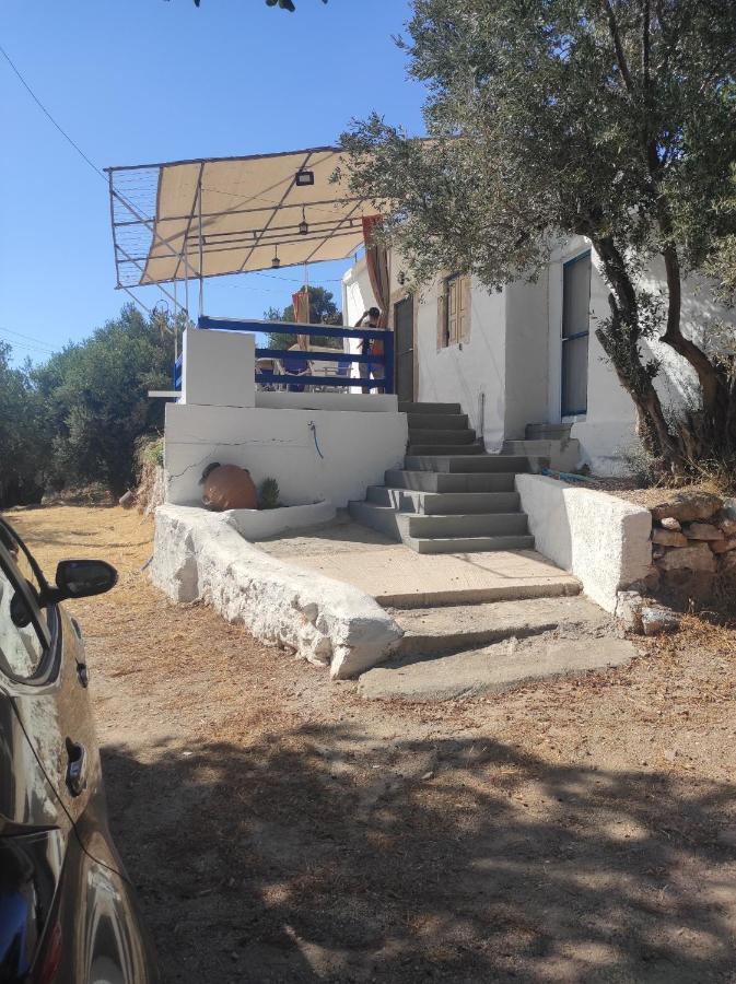 The Traditional House-Skalia,Kalymnos Buitenkant foto